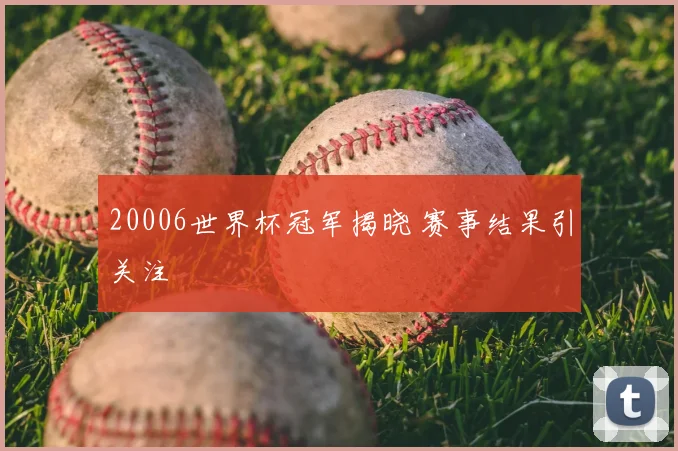 20006世界杯冠军揭晓 赛事结果引关注